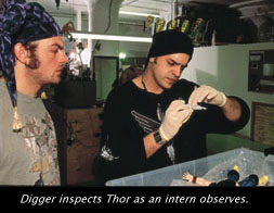 thorinspect.jpg - 17.9 K