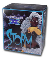 Ultimate Storm Bust