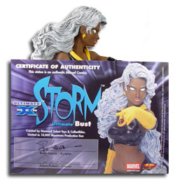 Ultimate Storm Bust