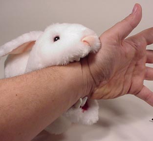 Rabbit plush toy