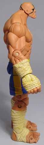 Sagat action figure