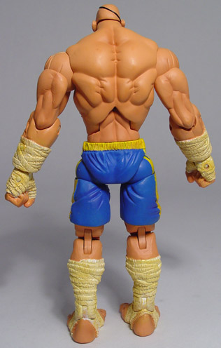 Sagat action figure