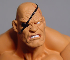 Sagat action figure