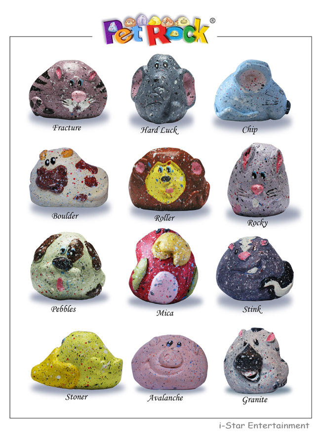 pet rocks