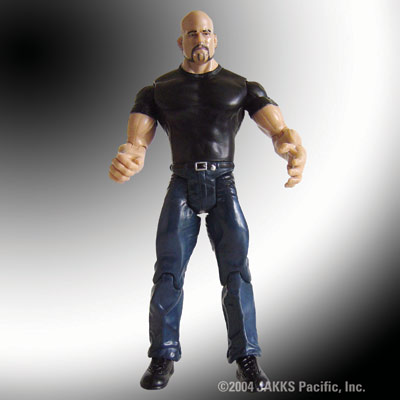 wwe action figure