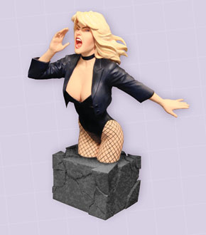 WOMEN OF THE DC UNIVERSE: BLACK CANARY BUST