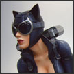 http://www.toymania.com/news/images/0407_dcd_cat_icon.jpg