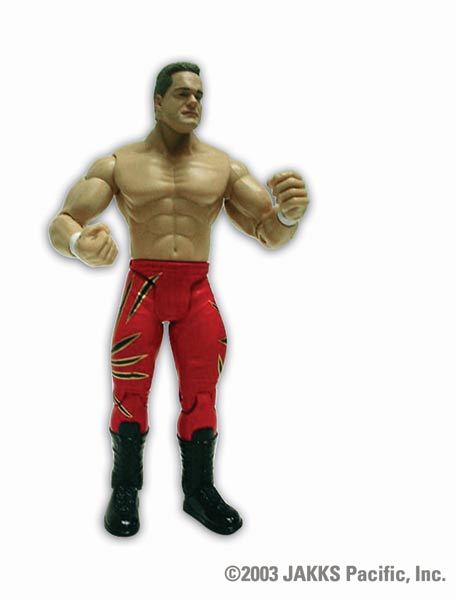 WWE Pay-Per-View Series 5 Action Figures