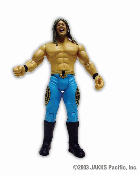 WWE Pay-Per-View Series 5 Action Figures
