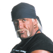 http://www.toymania.com/news/images/0602_hhogan1_icon.jpg