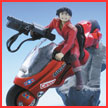 http://www.toymania.com/news/images/0604_dia_akira_icon.jpg