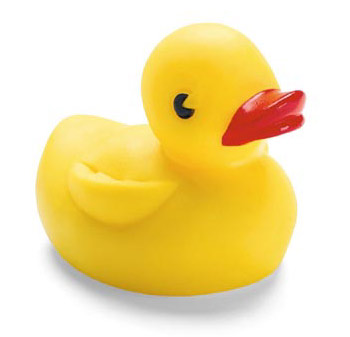 0703_duck.jpg