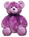 http://www.toymania.com/news/images/0804_bearnikki_icon.jpg