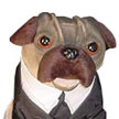 http://www.toymania.com/news/images/0902_frankpug_icon.jpg