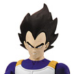 http://www.toymania.com/news/images/1001_vegeta_icon.jpg 