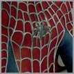 http://www.toymania.com/news/images/1002_blockspidey_icon.jpg