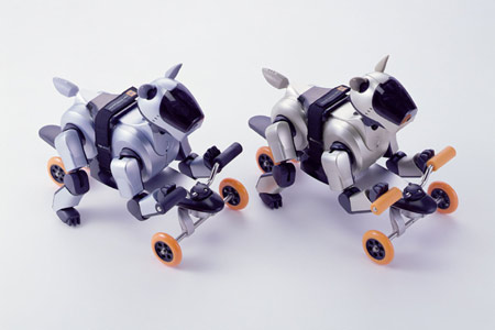 sony aibo speed board