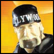 http://www.toymania.com/news/images/1002_wwe_rollin_icon.jpg