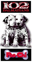 102_poochi.jpg - 11431 Bytes