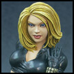 http://www.toymania.com/news/images/1202_blackwidowbust_icon.jpg