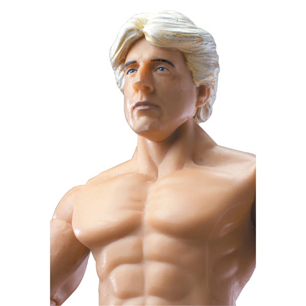 WWE Action Figures