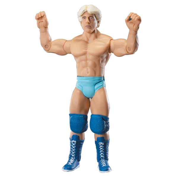 WWE Action Figures