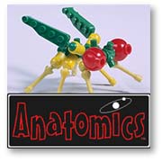 anatomics_fly.jpg - 6947 Bytes