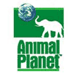 http://www.toymania.com/news/images/animalplanet_logo_tn.gif