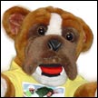 http://www.toymania.com/news/images/bahaicon.jpg