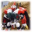 http://www.toymania.com/news/images/bandai_sria_tn.jpg
