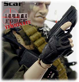 bbi_scar_1.jpg - 15703 Bytes