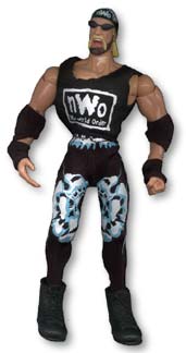 fc_hulkhogan.jpg - 8384 Bytes