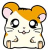 hamtaro logo