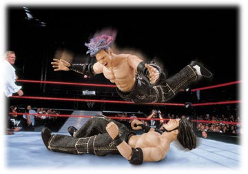 jakks_wwf_fm_hardy2.jpg - 18405 Bytes