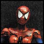 spidergirl_cu.jpg - 4022 Bytes