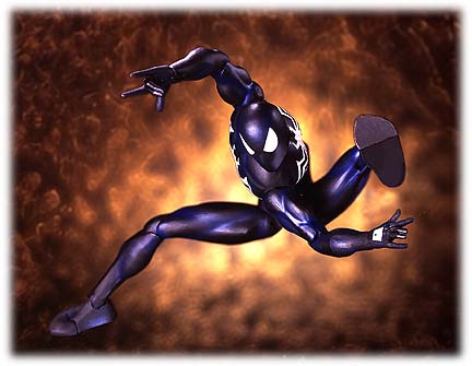 tb_classic_spideyblk_posed.jpg - 21263 Bytes