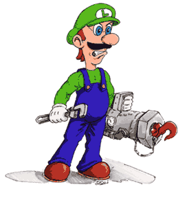 ts_luigi.gif - 10832 Bytes