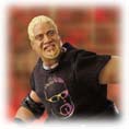 http://www.toymania.com/news/images/ttl8_rikishi_tn.jpg