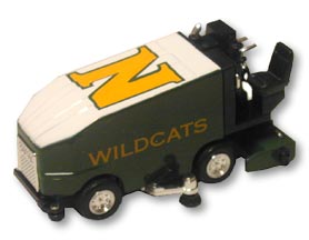 wildcats01.jpg - 9169 Bytes