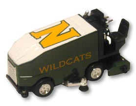 wildcats01.jpg - 9169 Bytes