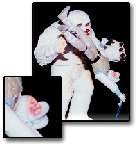 wampa.jpg 25.06 K