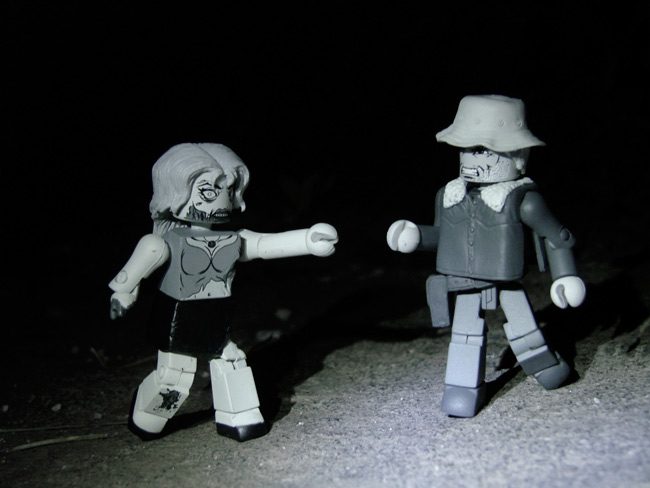 the walking dead minimates