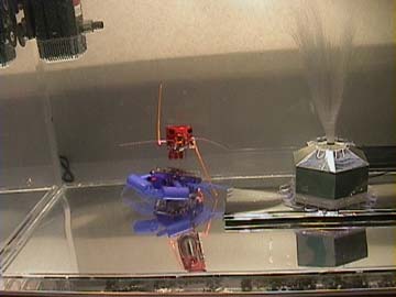 cyberfish.jpg - 13044 Bytes