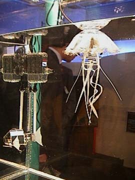 cyberjellyfish.jpg - 18010 Bytes
