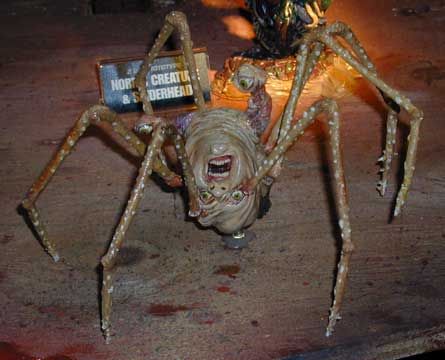 spiderhead.jpg - 21071 Bytes