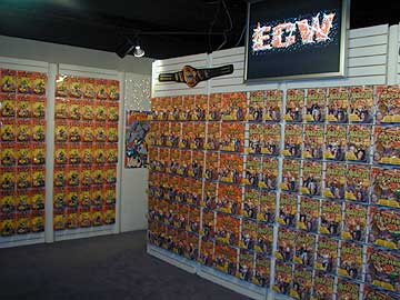 osf_ecw_display.jpg - 23889 Bytes