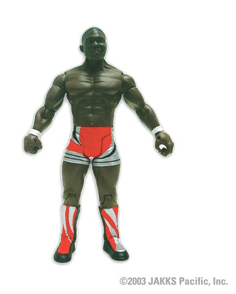WWE Pay-Per-View Series 5 Action Figures