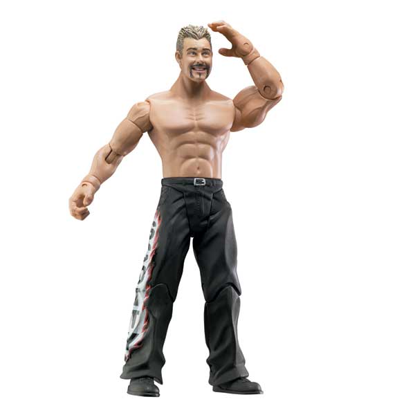 WWE Action Figures