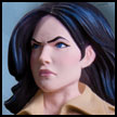 http://www.toymania.com/news/images/1209_dcd_fables1_icon.jpg