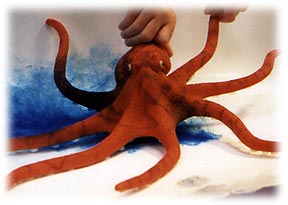 hay_seapets_octopus.jpg - 12667 Bytes